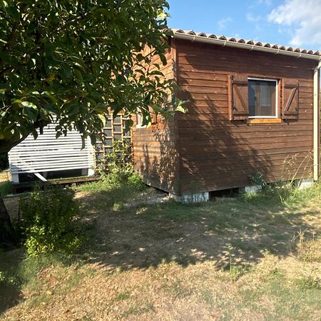 Le Chalet Pignantais Avec Option Jacuzzi Pignans Buitenkant foto